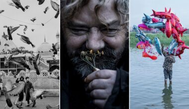 A triptych: left, people feed pigeons in front of a mosque; center, a bearded man smiles while smelling small flowers; right, a person stands in water holding colorful fish-shaped balloons.