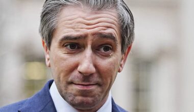 Tax cut possible if no economic shocks, Tánaiste says