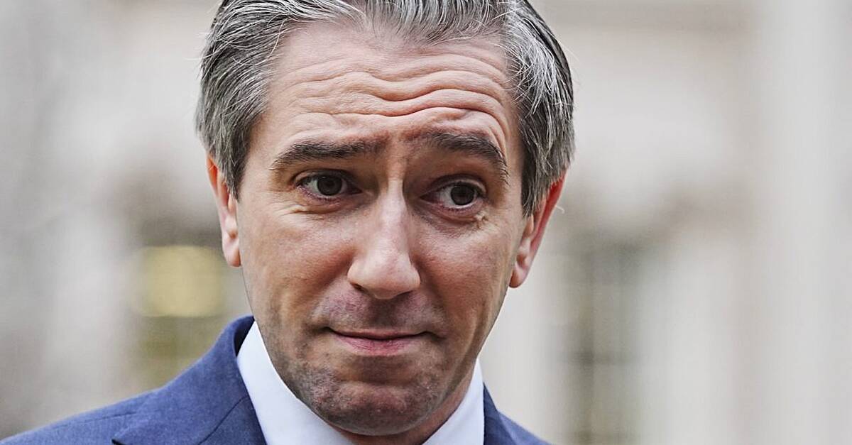 Tax cut possible if no economic shocks, Tánaiste says