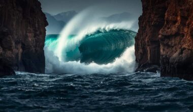 The First Close Up Of A Massive Tsunami Just Came In From Space