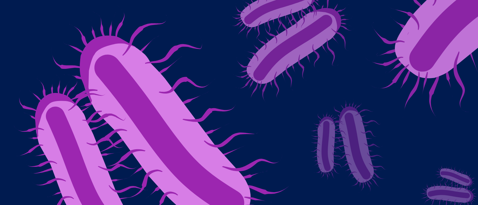 Which Antibiotics Actually Work? - BioTechniques