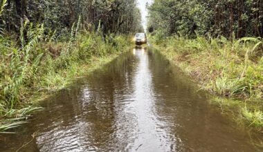 UPDATE: Laupāhoehoe Point Road, portion of Highway 11 in Kaʻū, reopen : Big Island Now