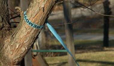 Utility, residents disagree on need to cut trees