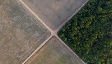 Brazil's soy industry withdraws from Amazon deforestation pact, risking forest loss