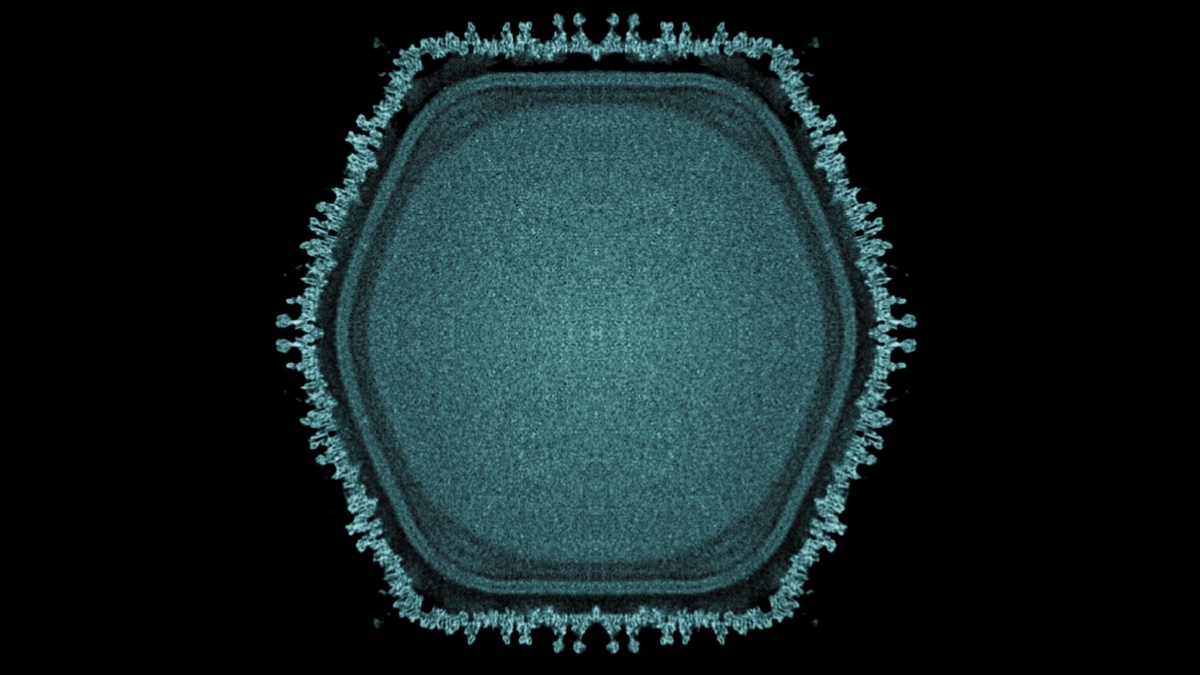 Giant Virus Discovered in Japanese Pond May Hint at Multicellular Life's Origins : ScienceAlert