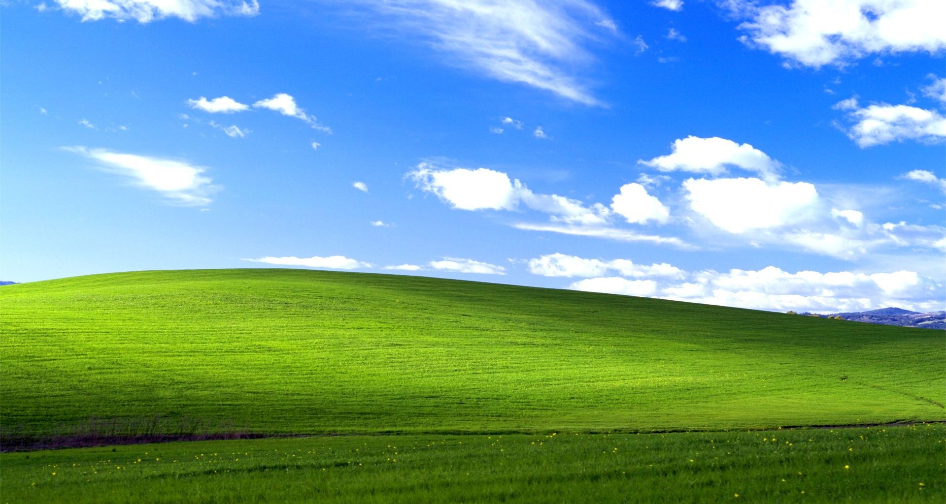 Bliss Microsoft XP background image
