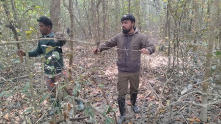 According to Forest Department data, poachers are currently using four different types of deer traps—mala phaad, chitka phaad, hanta phaad and gola phaad. Photos: TBS