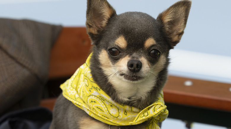 Will Trent Season 4, Episode 1 Review — Ramon Rodriguez on ABC, Hulu