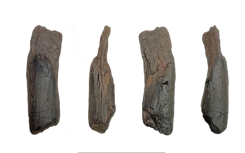 Scientists recover the oldest wooden tools from a site in Greece