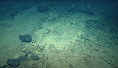 Goodbye to the idea that the ocean floor is uniform—scientists discover a 'yellow brick road' under the Pacific