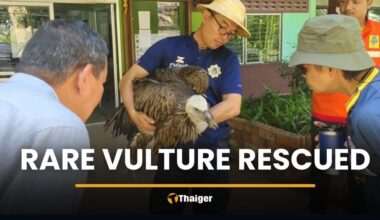 Photo of Chattarin Siradakul