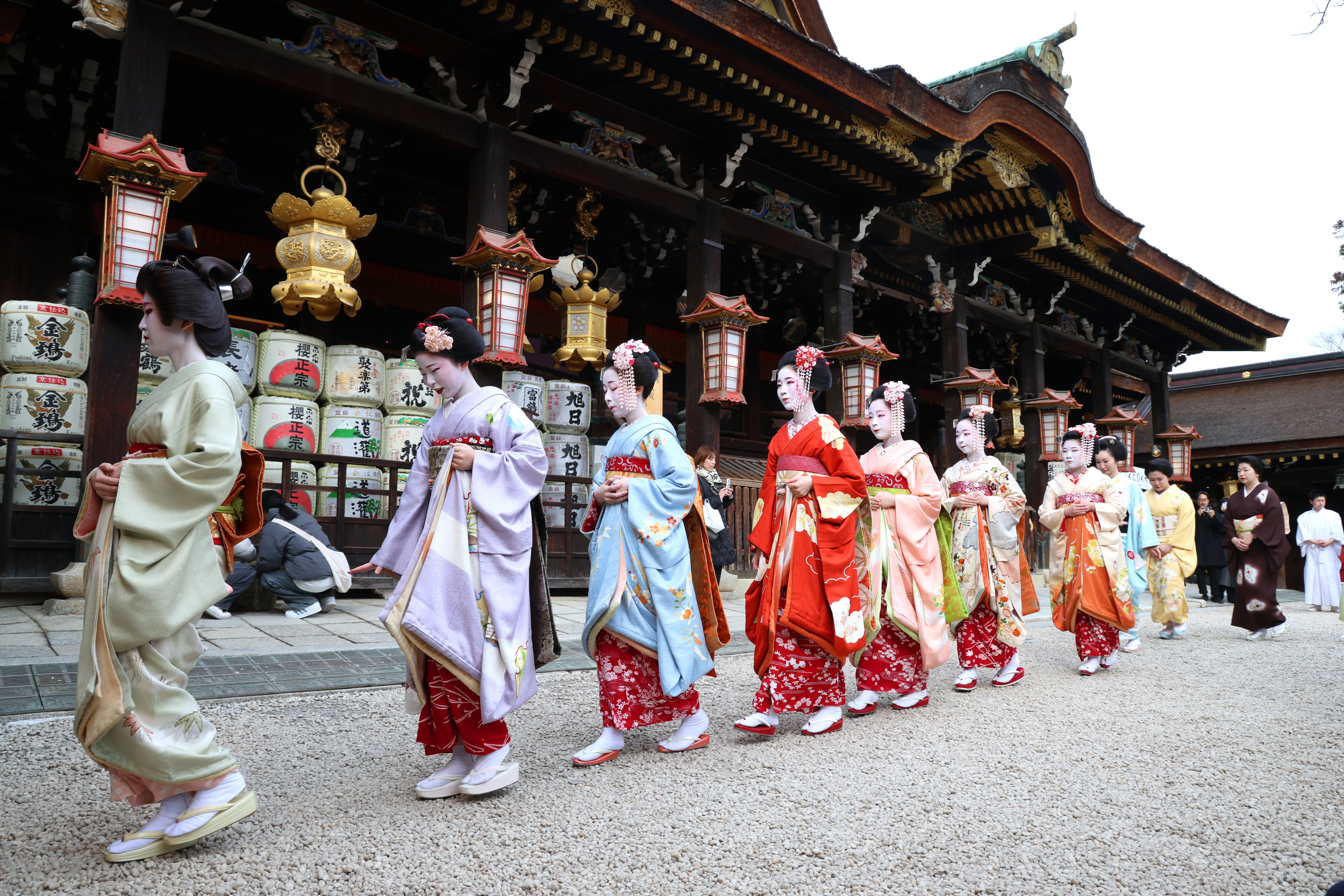 Maikos and geiko in colorful kimonos walk in a line at Kitano Tenmangu Shrine in Kyoto.