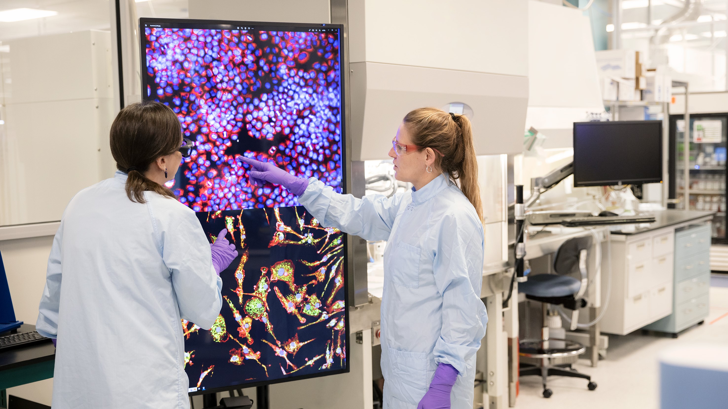 Two scientists in a lab coats and purple gloves examine microscopic images of cells on a large screen.
