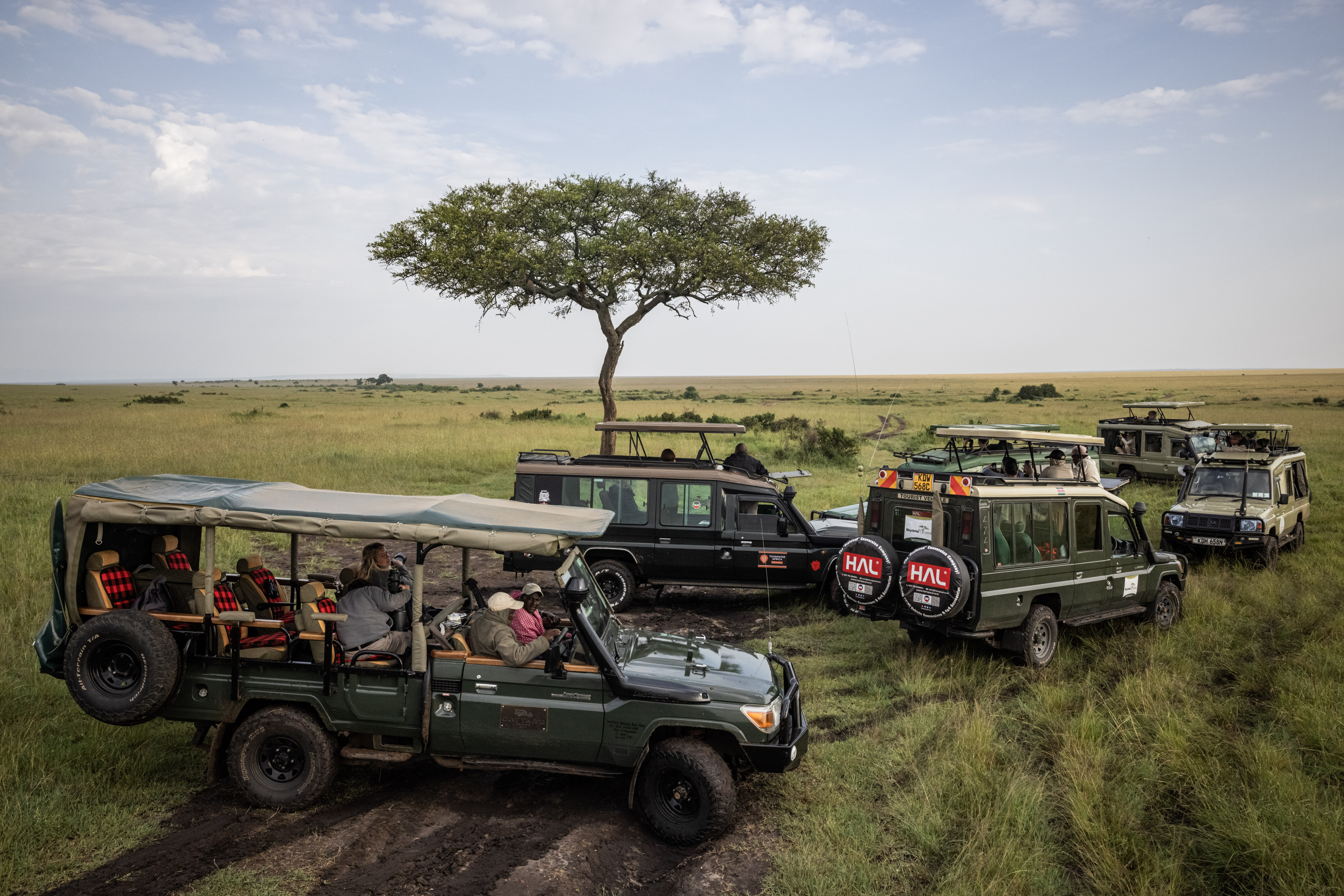 Safari vehicles with tourists in Masai Mara National Reserve.