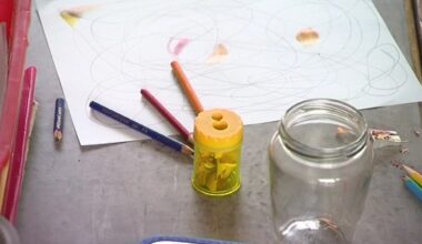 Review of SNA allocations paused, says Minister