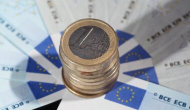 Euro zone economic momentum wanes further in January: PMI