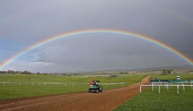 Punchestown racing gets green light