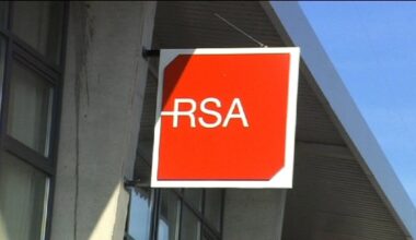 RSA 'broken' and 'beyond repair'- committee to hear