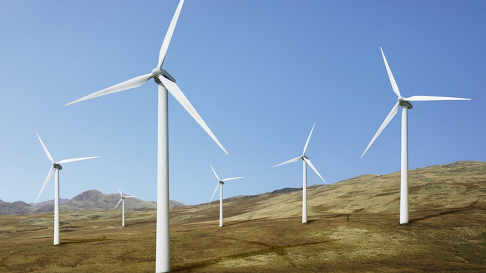 Renewables cut energy costs by €1.5bn last year