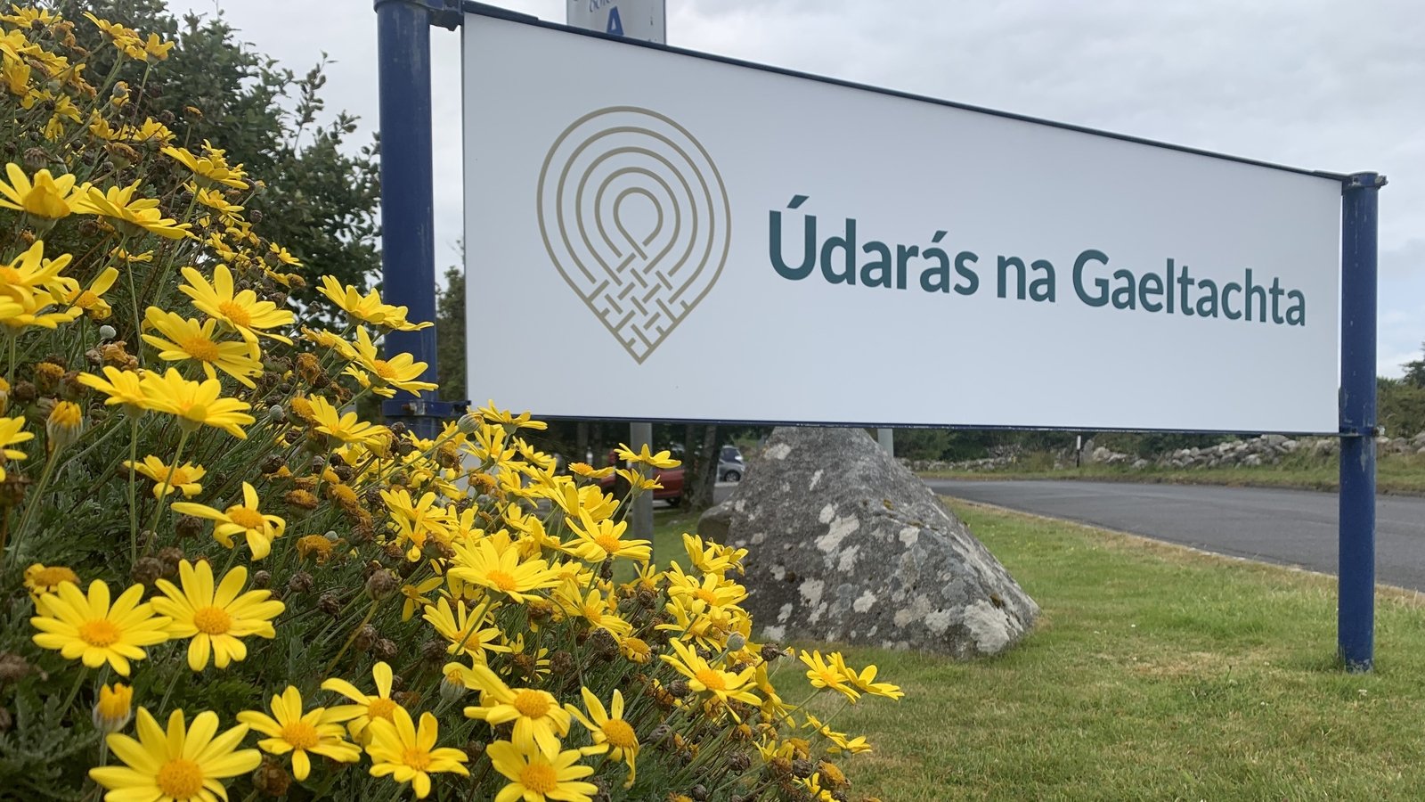 Údarás na Gaeltachta reports sustained growth in 2025