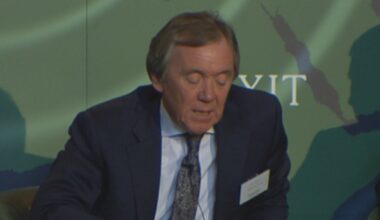 Murrin 'fully committed' to Bord Bia role, committee told