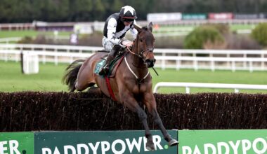 Romeo Coolio digs deep to win the Irish Arkle