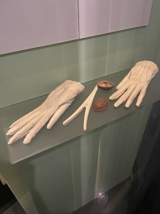 A photo of antique gloves in a display case 