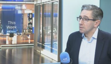 Government drawing up savings strategy, says Tánaiste