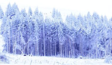 Met Éireann issues yellow rain, wind, snow warnings