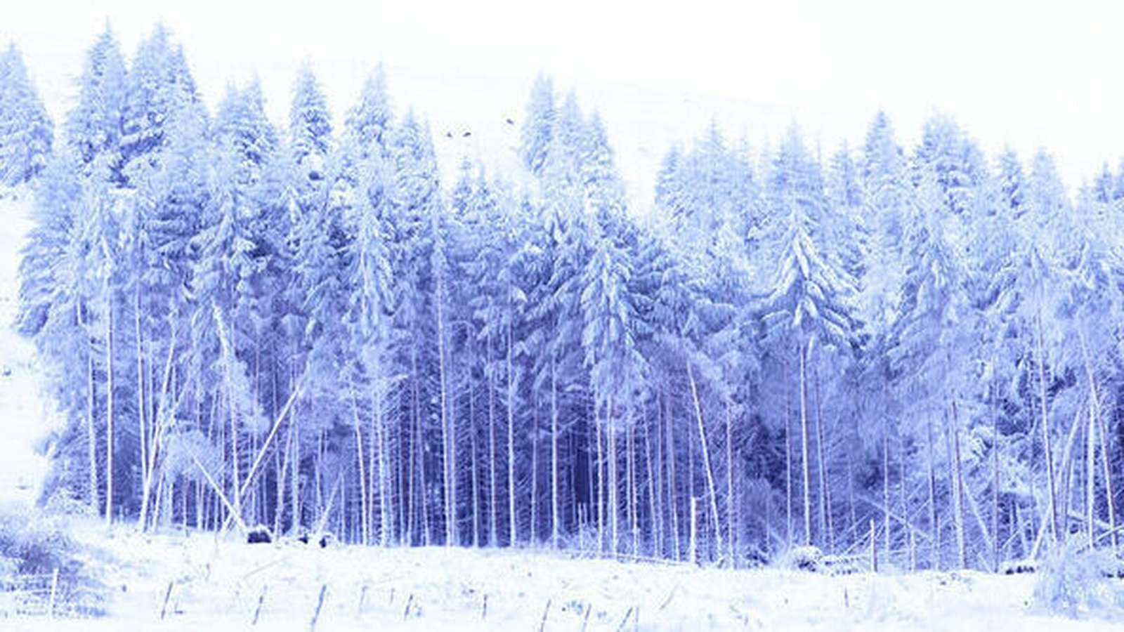 Met Éireann issues yellow rain, wind, snow warnings