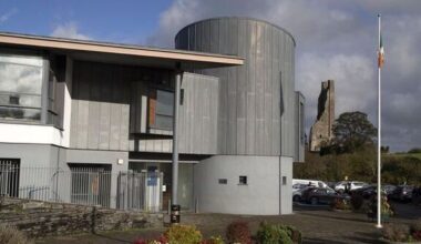 Meath man jailed for animal cruelty involving 90 horses