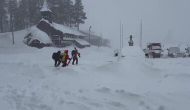 Eight skiers found dead after California avalanche