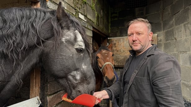 David Mulreany, Horse & Carriage operator with his horses in a stable in Dublin