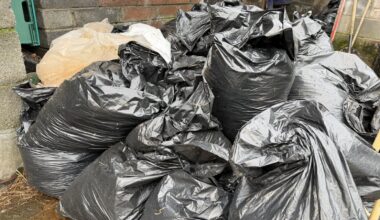 Increase in horse manure dumping in Dublin's Liberties