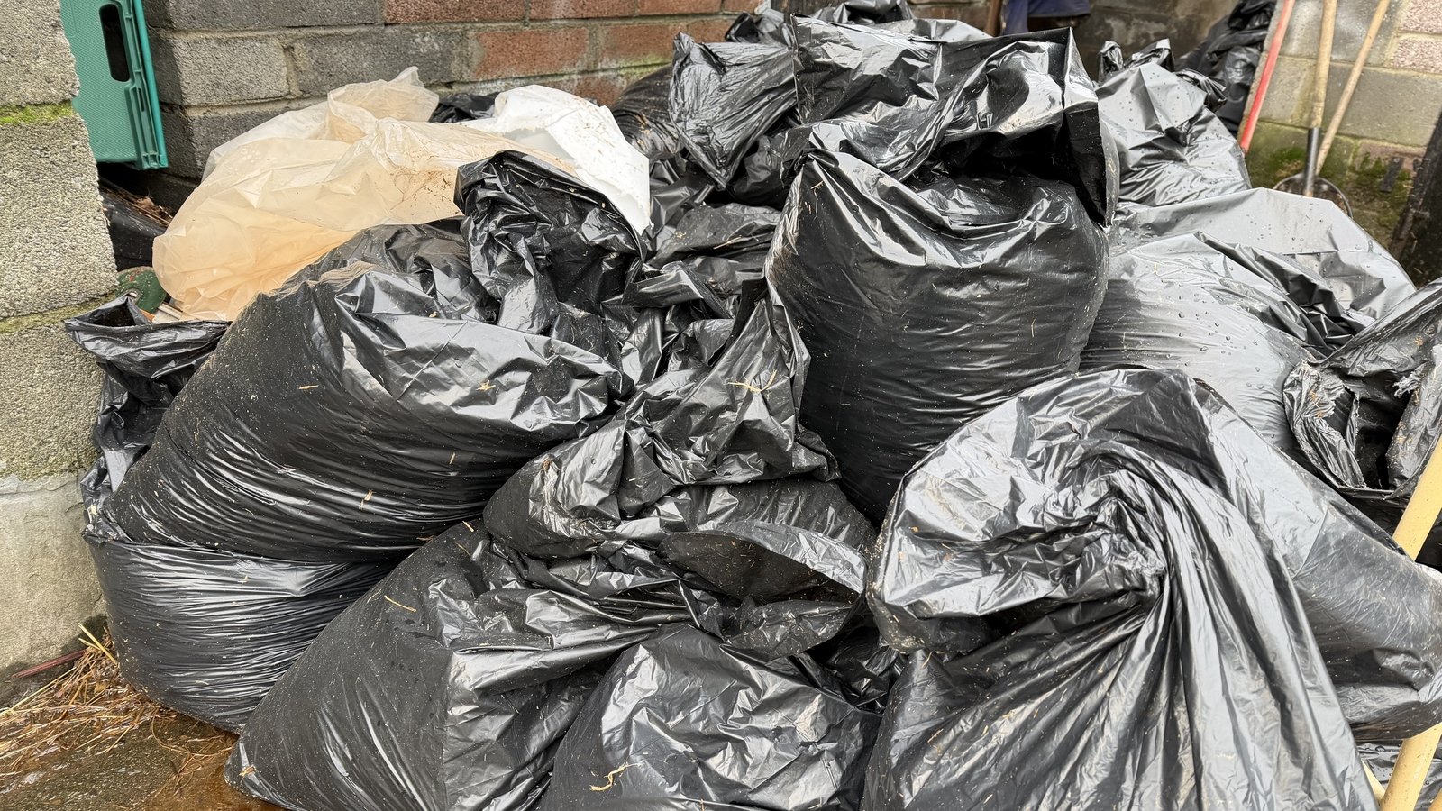 Increase in horse manure dumping in Dublin's Liberties