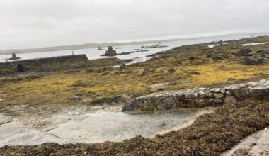 Communities fight 'corporate' bid for seaweed rights
