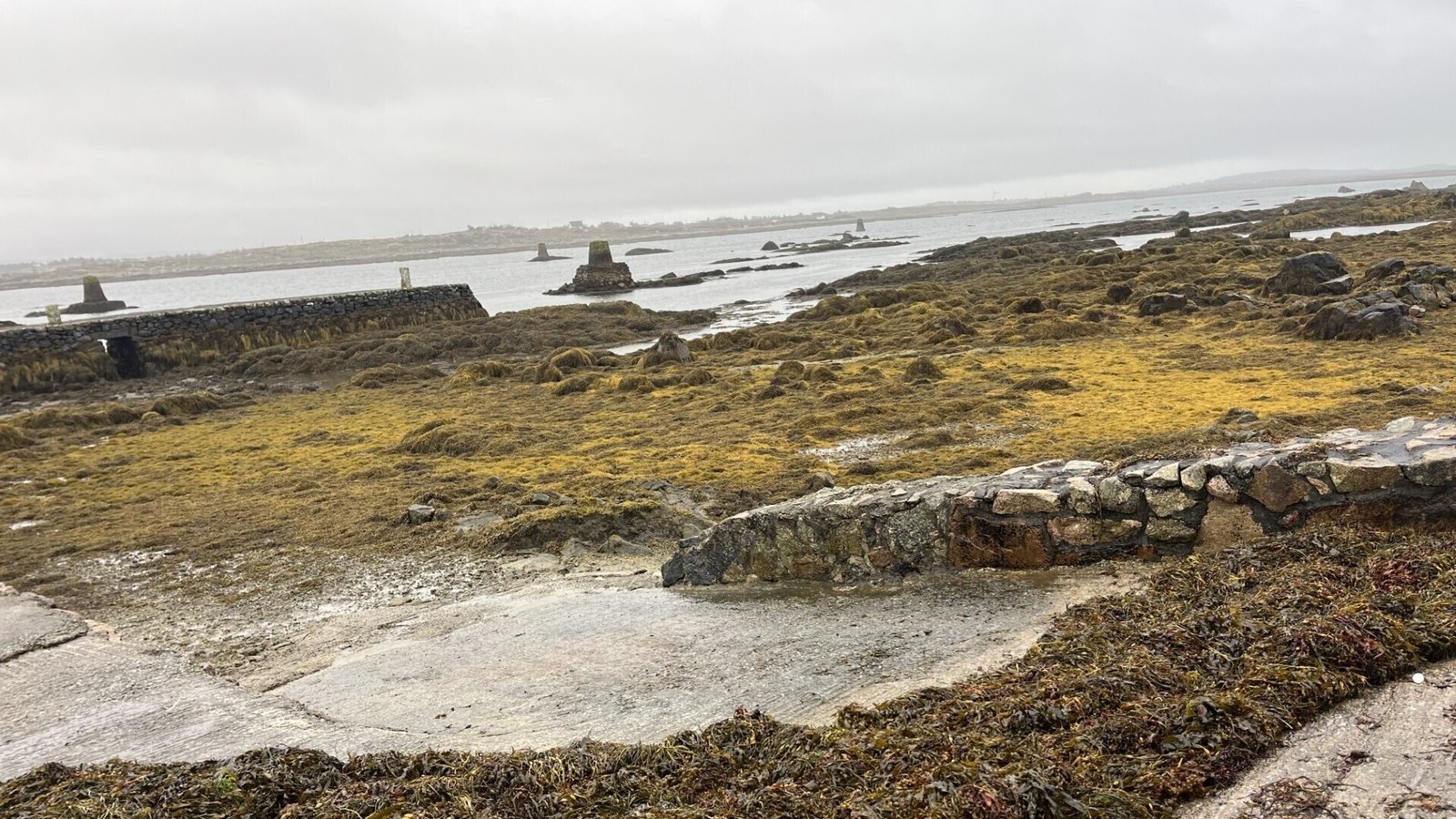 Communities fight 'corporate' bid for seaweed rights