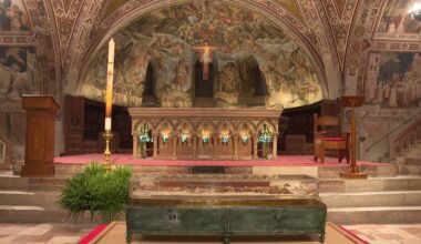 St Francis relics go on public display for first time