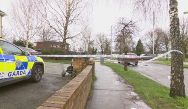 Woman charged over alleged assault in Dublin