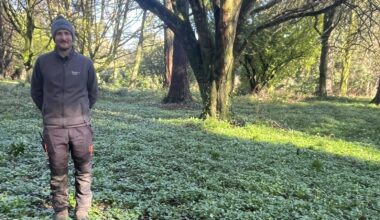 Gardeners' hopes for spring as rainfall takes its toll