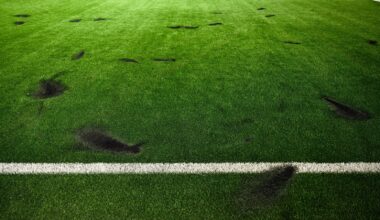 Minister mulls legislation to stamp out flares at games