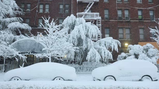 Parked cars and trees are covered in snow