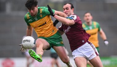 All you need to know