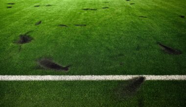 Drogs to cover 'full cost' of Oriel Park pitch damage