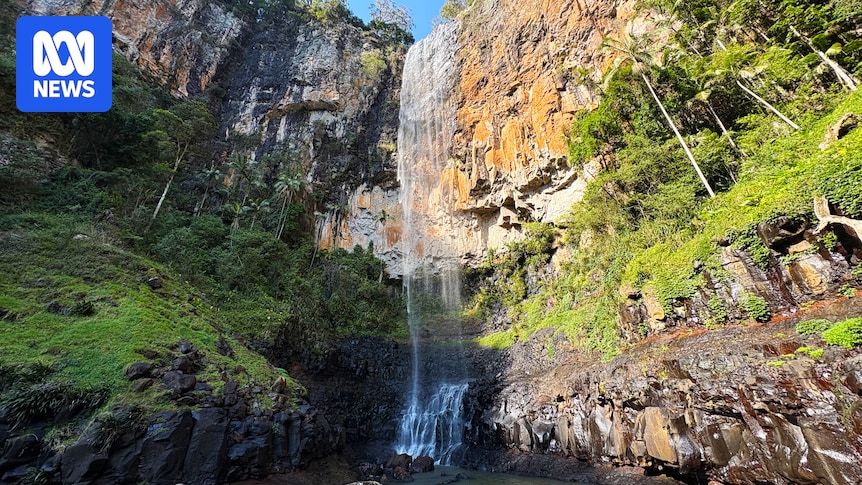Strict caps on bottled water extraction urged for World Heritage-listed Springbrook