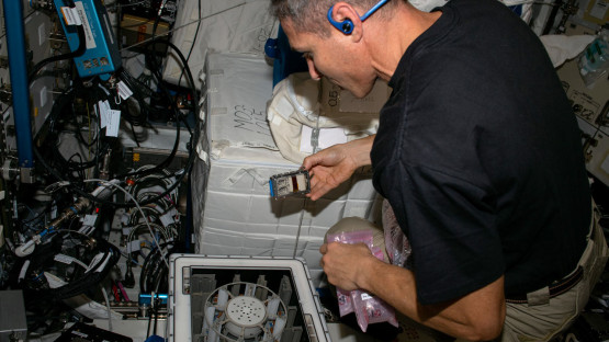 Microbes harvest metals from meteorites aboard space station