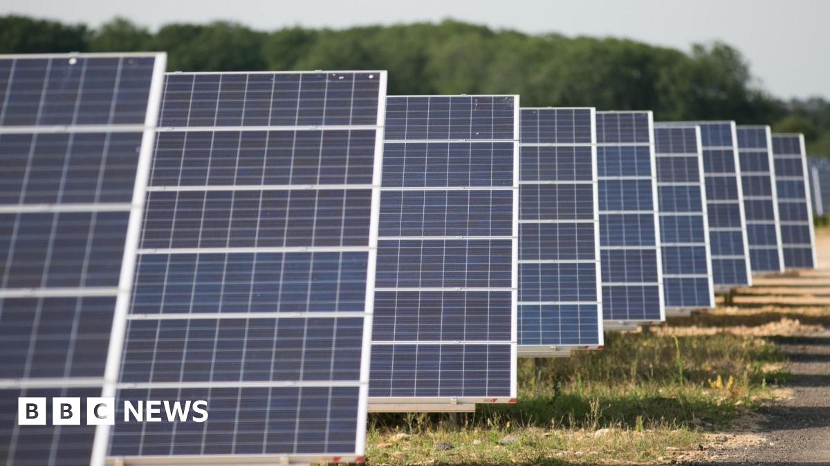 Rows of solar panels with trees in the background