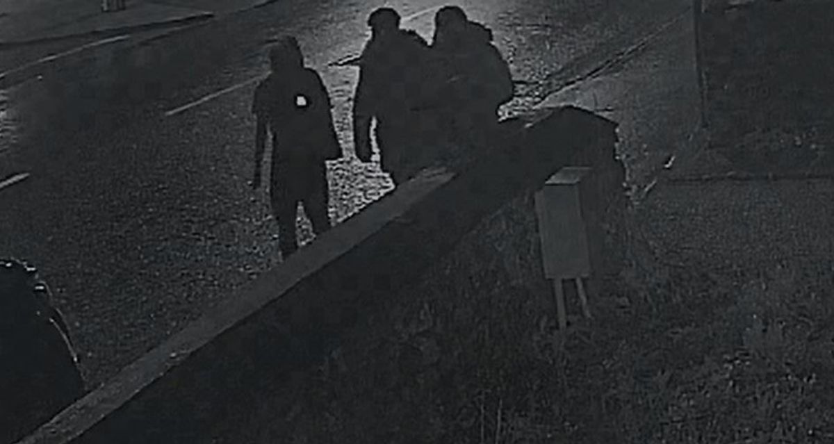 The youths seen in Carrigtwohill