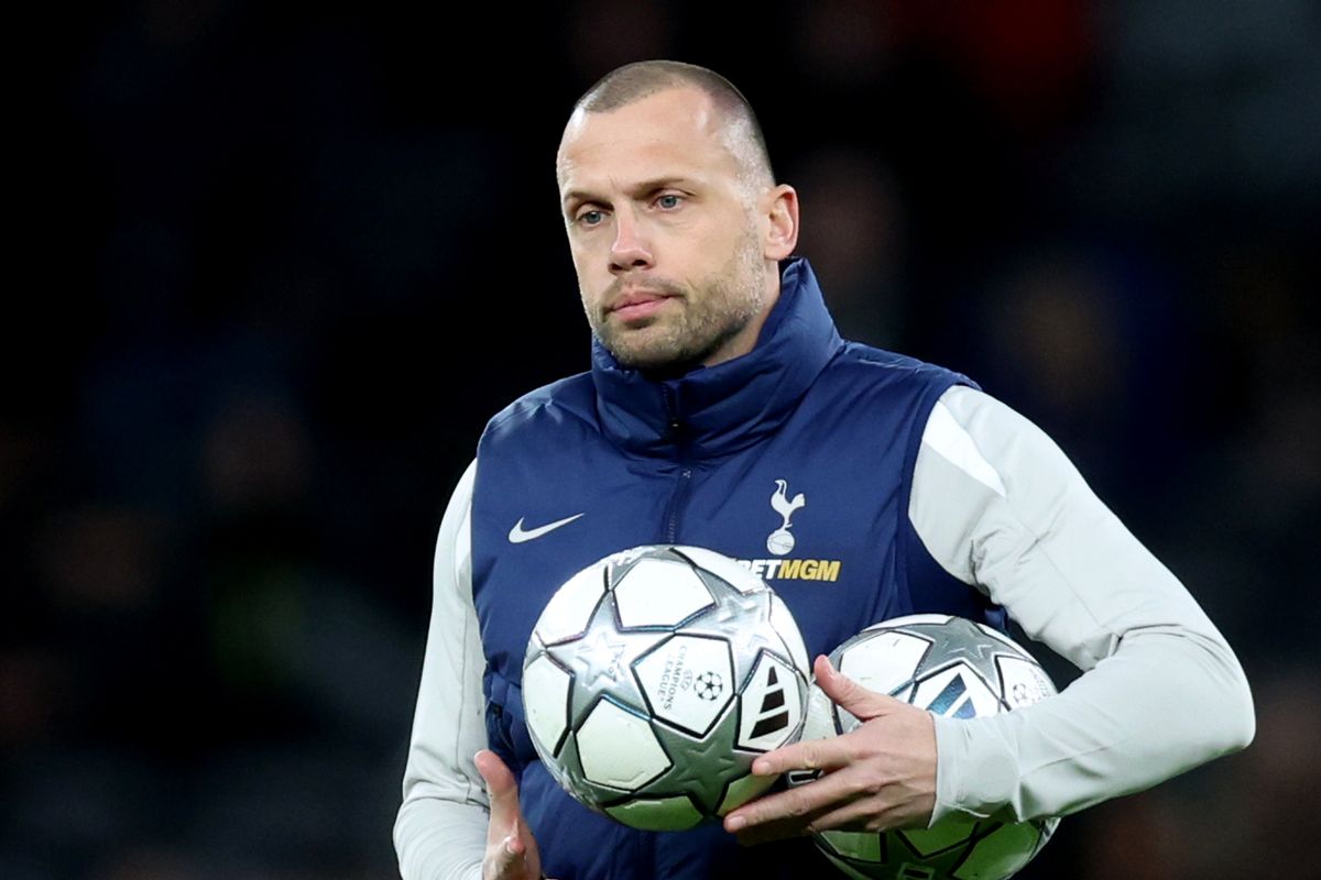 John Heitinga looks on before a Tottenham game