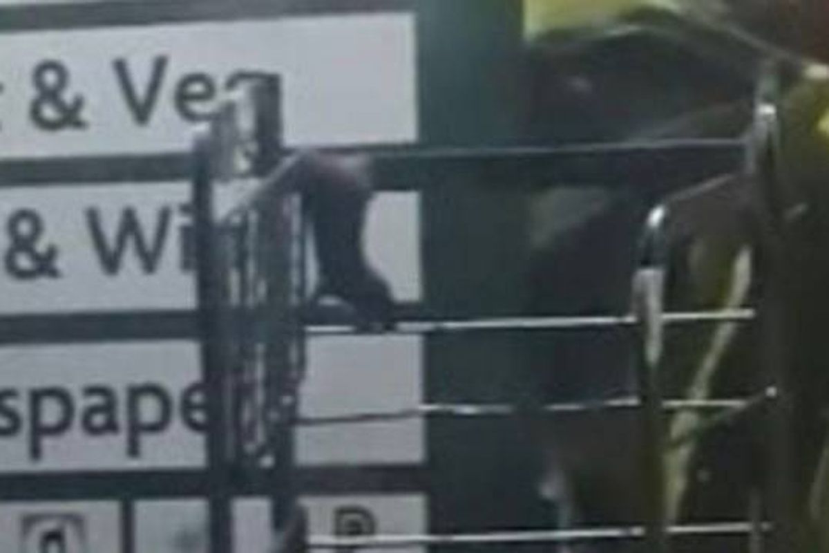 A blurred image featuring a sign with text partially visible, reading "uit & Ve", "eer & W", and "ewspaper". Behind the sign, a metallic structure with a blurred figure, possibly a person, is partially visible.